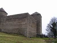 Amberieu en Bugey, Chateau des Allymes (06)